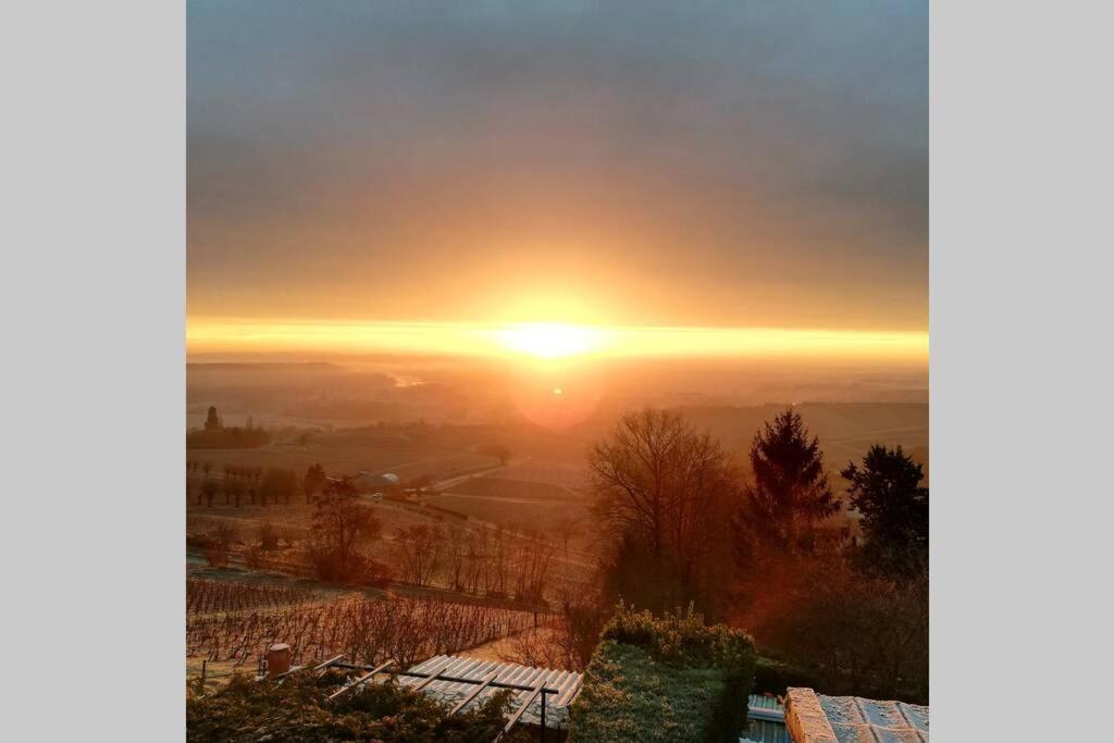 Vue Panoramique Sur Le Vignoble Apartment Sancerre Exterior photo